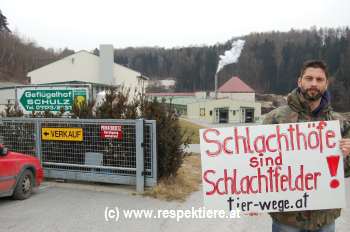 Geflügelhof Schulz Lassnitzhöhe Steiermark